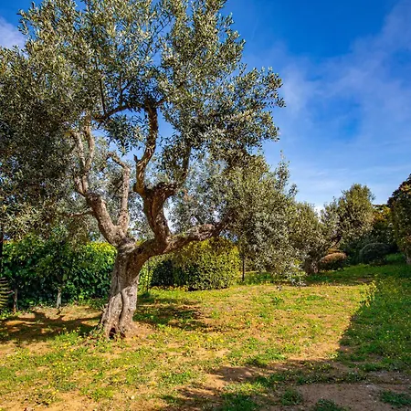 度假居 Il Di Sveva, Splendida Vista Mare *